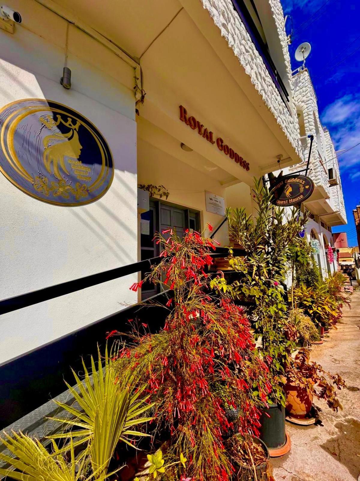 Royal Goddess Guest House, Walled City Famagouste Extérieur photo